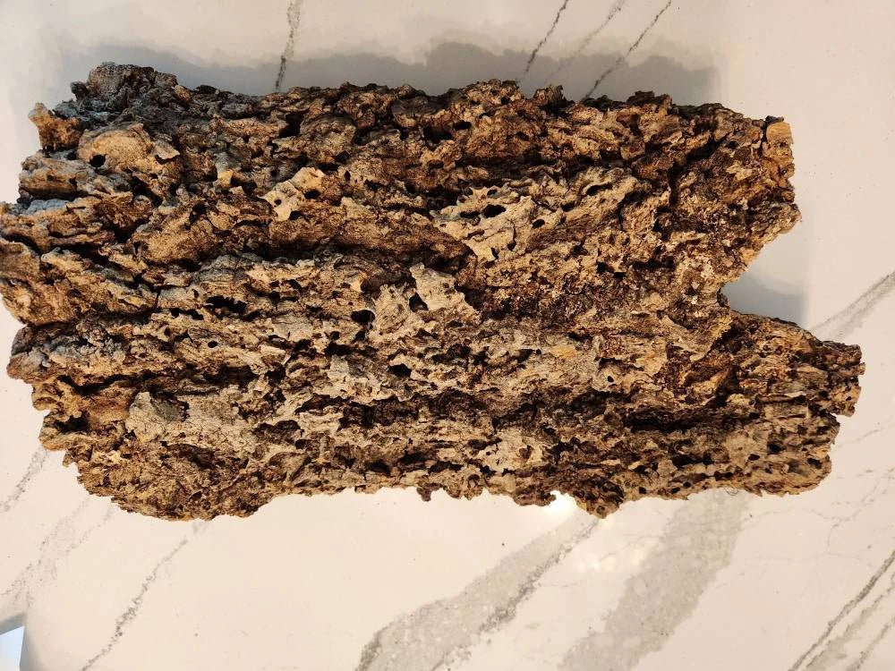 Cork Bark and Driftwood