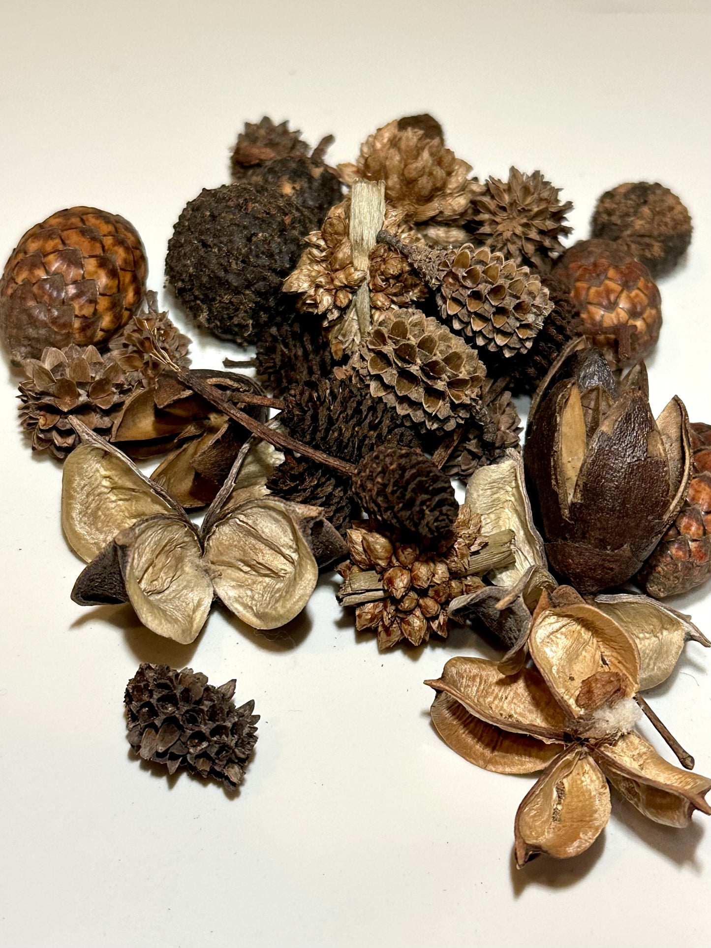 Mini/Nano Seed Pod Variety Pack - 35 Pieces