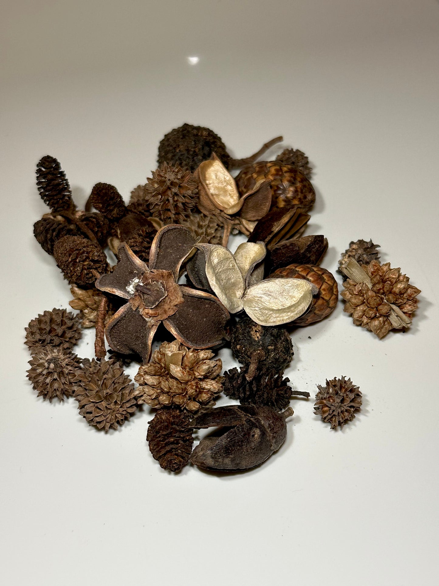 Mini/Nano Seed Pod Variety Pack - 35 Pieces