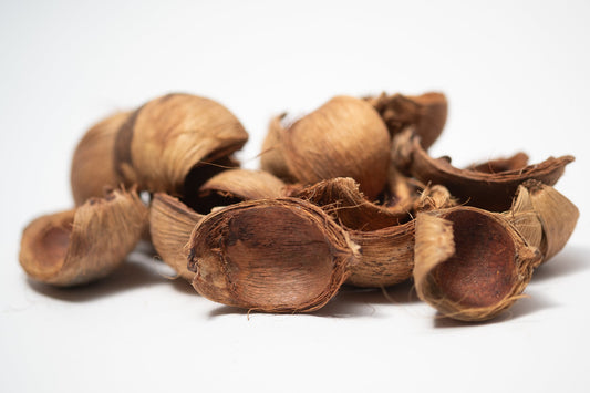 Betel Nut Husks - IHEARTBUGS, INC.