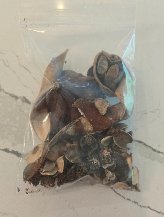 Broken & Irregular Seed Pod Grab Bag - IHEARTBUGS, INC.