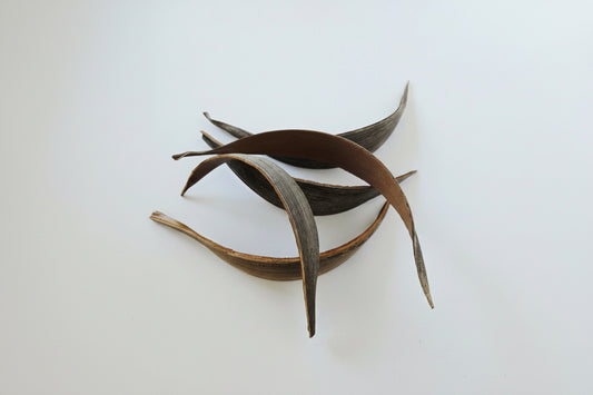 Coconut Palm Frond Paddles (3 Pack) - IHEARTBUGS, INC.