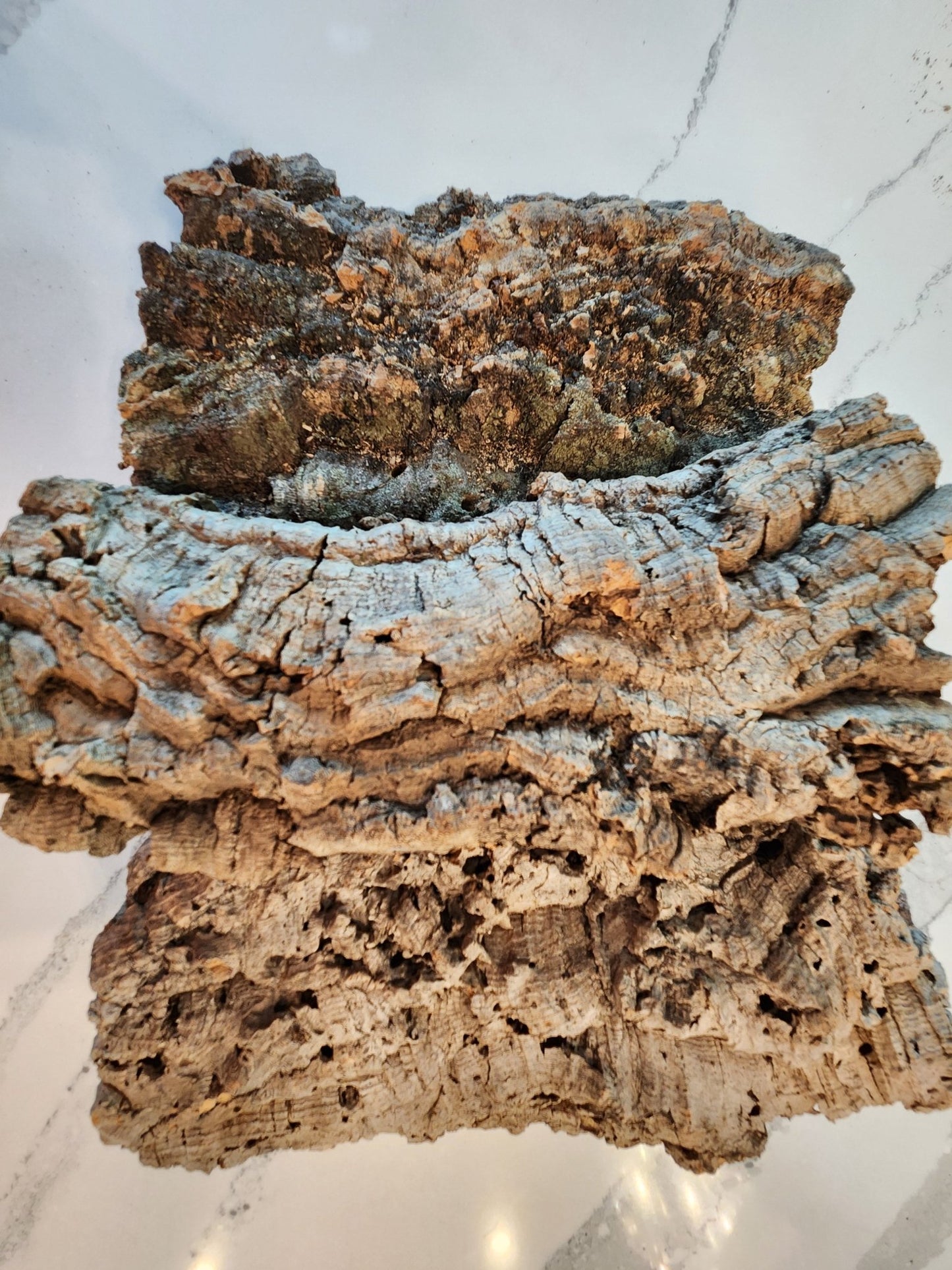 The I Heart Bugs Cork Bark Flats - 1 pound feature rough, irregular shapes and a rugged, textured appearance, making them ideal for terrariums or bioactive vivariums. Shown on white marble with gray veining.