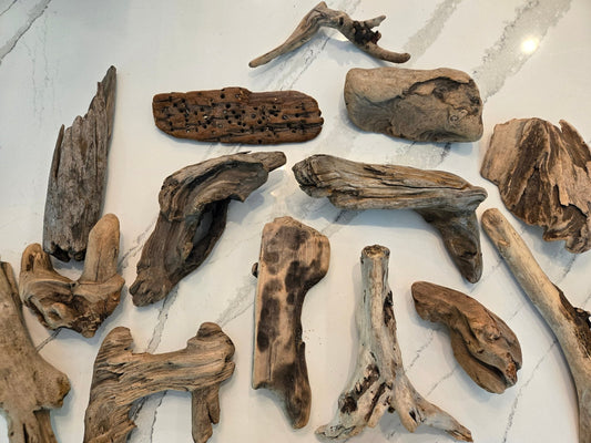 Driftwood - Medium from IHEARTBUGS, INC. displayed on white marble with light gray veining. Each weathered piece has unique shapes and textures—perfect for bioactive terrariums or reptile tanks.