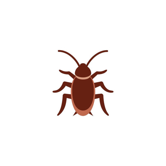 A simple, flat illustration of a brown cockroach—ideal for portraying a Dubia Roach Clean-Up Crew member from I Heart Bugs. The insect with six legs and antennae is centered on a plain white background.