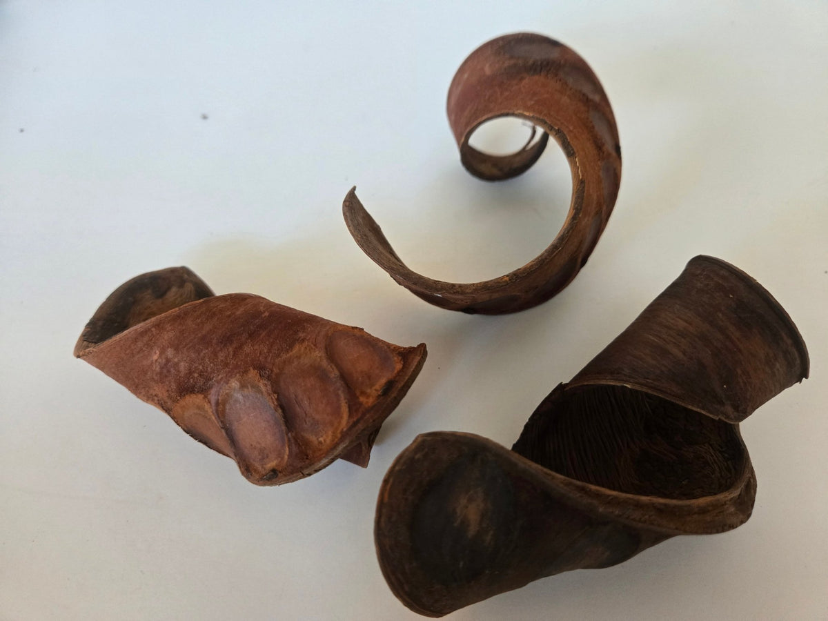 Elephant Ear Pods - IHEARTBUGS, INC.