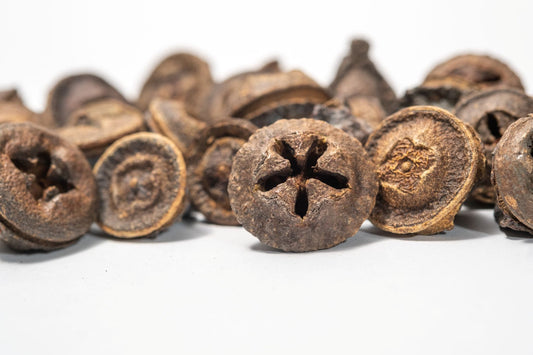 Eucalyptus Pods - IHEARTBUGS, INC.