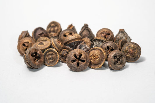 Eucalyptus Pods - IHEARTBUGS, INC.