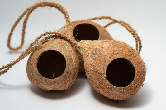 Hanging Coconut Hideout - IHEARTBUGS, INC.