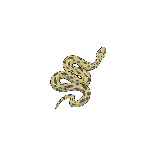 The Hognose Snake Bioactive Clean-Up Crew Pack by I Heart Bugs features a simple illustration of a yellow snake with dark brown spots on a white background—perfect for bioactive set-ups, including enclosures with springtails or isopods.