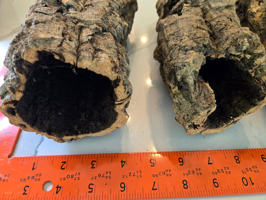 Two Medium Cork Bark Rounds by IHEARTBUGS, INC. are placed side by side on a white surface. An orange ruler below shows each is about 13 cm long. The textured bark is ideal for terrarium décor or bioactive enclosures.