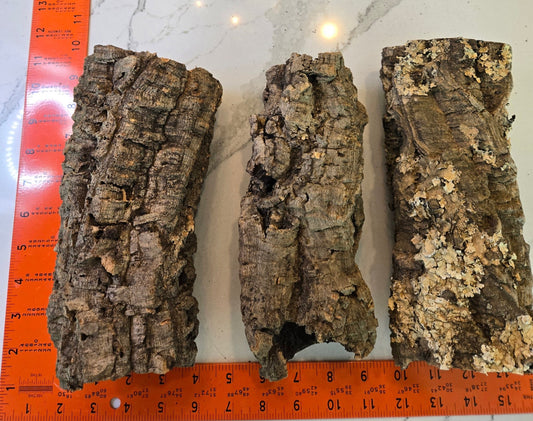 Three IHEARTBUGS, INC. Medium Cork Bark Rounds are arranged vertically by two orange rulers on a white marbled surface. Ideal for terrarium décor or bioactive enclosures, these pieces display natural cracks and subtle lichen patches.