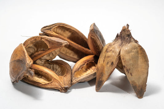 Natural Sora Pods - IHEARTBUGS, INC.