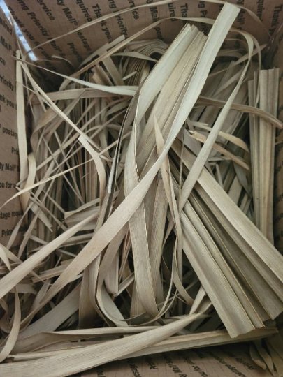 A close-up of I Heart Bugs Palm Leaves—light brown, flat, and narrow—arranged in a box. Perfect for packing, crafts, or use in isopod bins and bioactive enclosures. Inner flaps display English text.