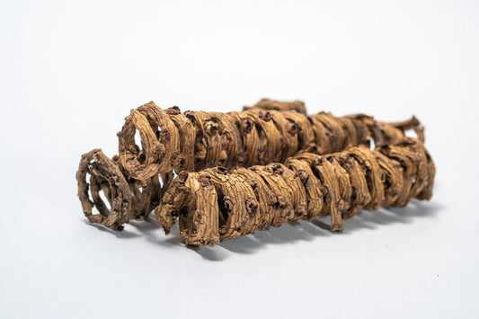 Palm Tail Spring - 3 Count - IHEARTBUGS, INC.