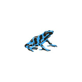 Showcase the I Heart Bugs Poison Dart Frog Bioactive Clean-Up Crew Pack: features a blue and black frog illustration with bold spots and stripes, right-facing on a white background—perfect for adding style to bioactive enclosures.