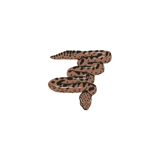 A simple illustration of a brown snake with dark spots, coiled in an S-shape. The Sand Boa/Rosy Boa Clean-Up Crew Pack by I Heart Bugs is perfect for semi-arid setups, featuring irregular markings on a plain white background.