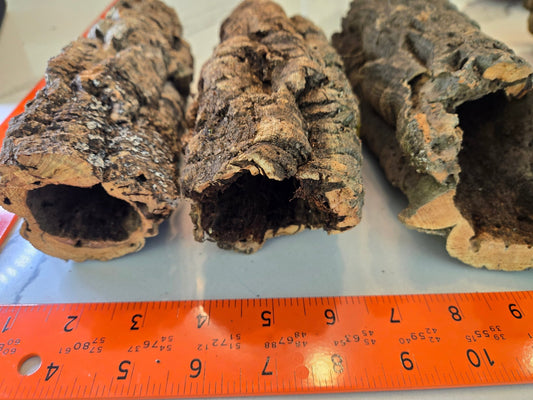Three hollow, rough Small Cork Bark Rounds by IHEARTBUGS, INC. are placed side by side on a light blue surface. An orange ruler shows they measure about 10–12 cm long—ideal for use in bioactive enclosures.