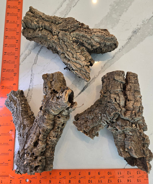 Three Small/Medium Cork Bark Rounds With 3 or 4 Openings by IHEARTBUGS, INC. are shown on a gray surface with orange rulers, each about 15 cm long—perfect for terrariums or bioactive enclosures.