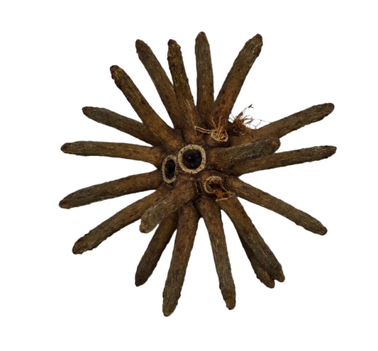 The I Heart Bugs Spidergum Claw Pod is a unique aquarium botanical: a group of sticks with holes in them, perfect for natural aquascaping.