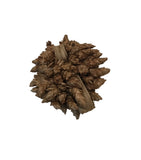 The I Heart Bugs Star Flower Pods - 10 Count is shown as tightly packed brown pods with visible natural texture and layered, pointed scales, photographed on a white background—perfect for bioactive terrariums or microfauna hides.