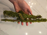 A hand displays two Thin Short Mossy Sticks by I Heart Bugs, each partly covered in green moss against a veined white background—ideal as unique terrarium decor or natural vivarium wood accents.