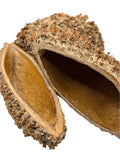 Close-up of two I Heart Bugs Urchin Pod/Bolsa Pastor Seed Pods, brown and oval with rough, spiky exteriors and smooth hollow interiors, overlapping on a white background. Texture and natural details are clearly shown.