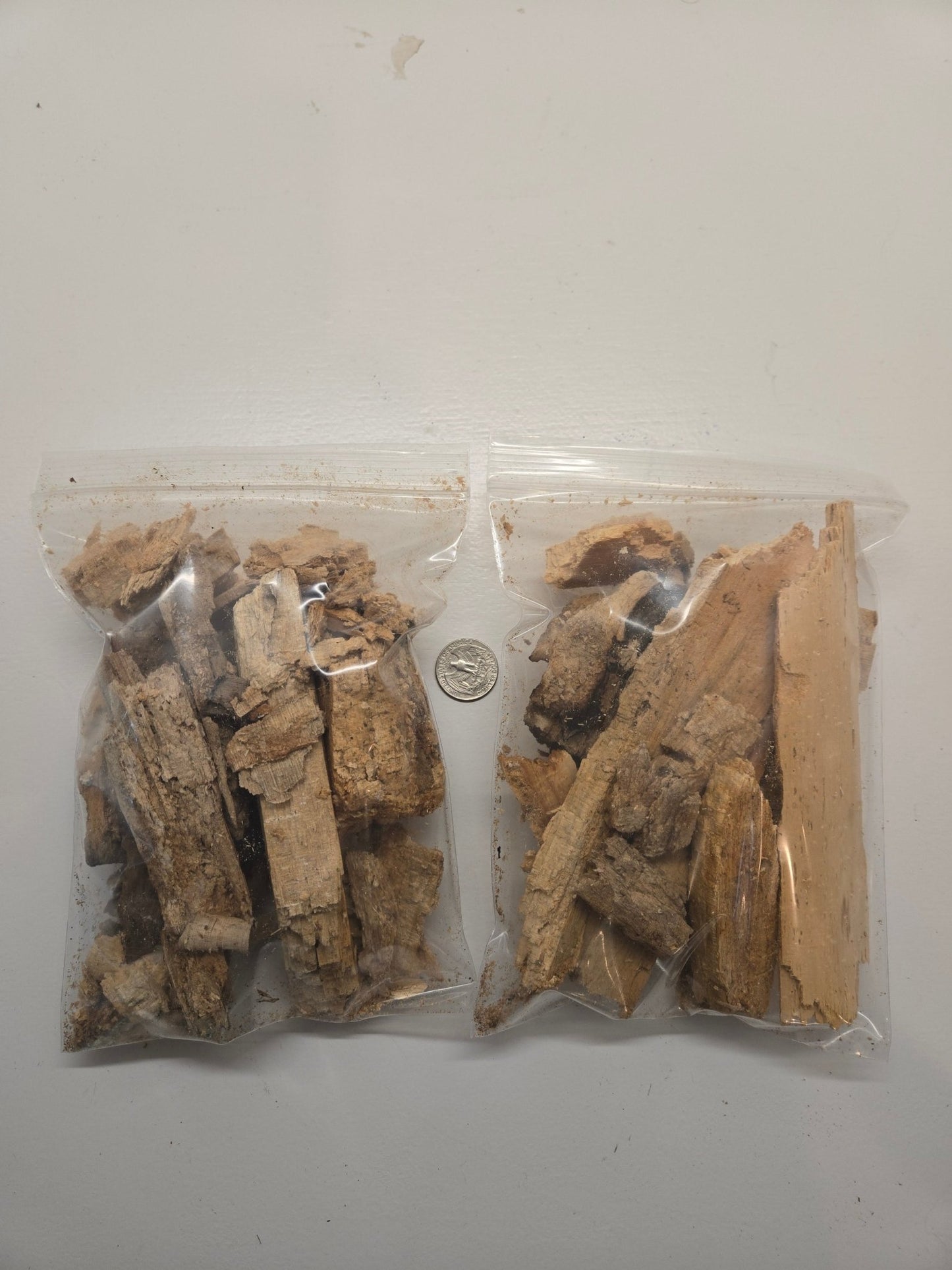 Wood Rot (Decaying Wood) - Quart Bag - IHEARTBUGS, INC.