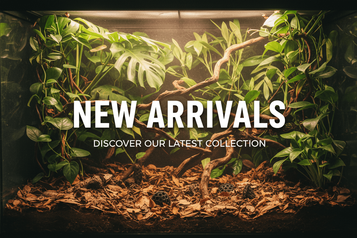 New Arrivals