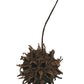 I Heart Bugs 10 Sweetgum Pods feature brown, spiky seed pods with stems. Ideal as unique, textured decor for terrariums or aquariums, these bioactive accents stand out against any background.