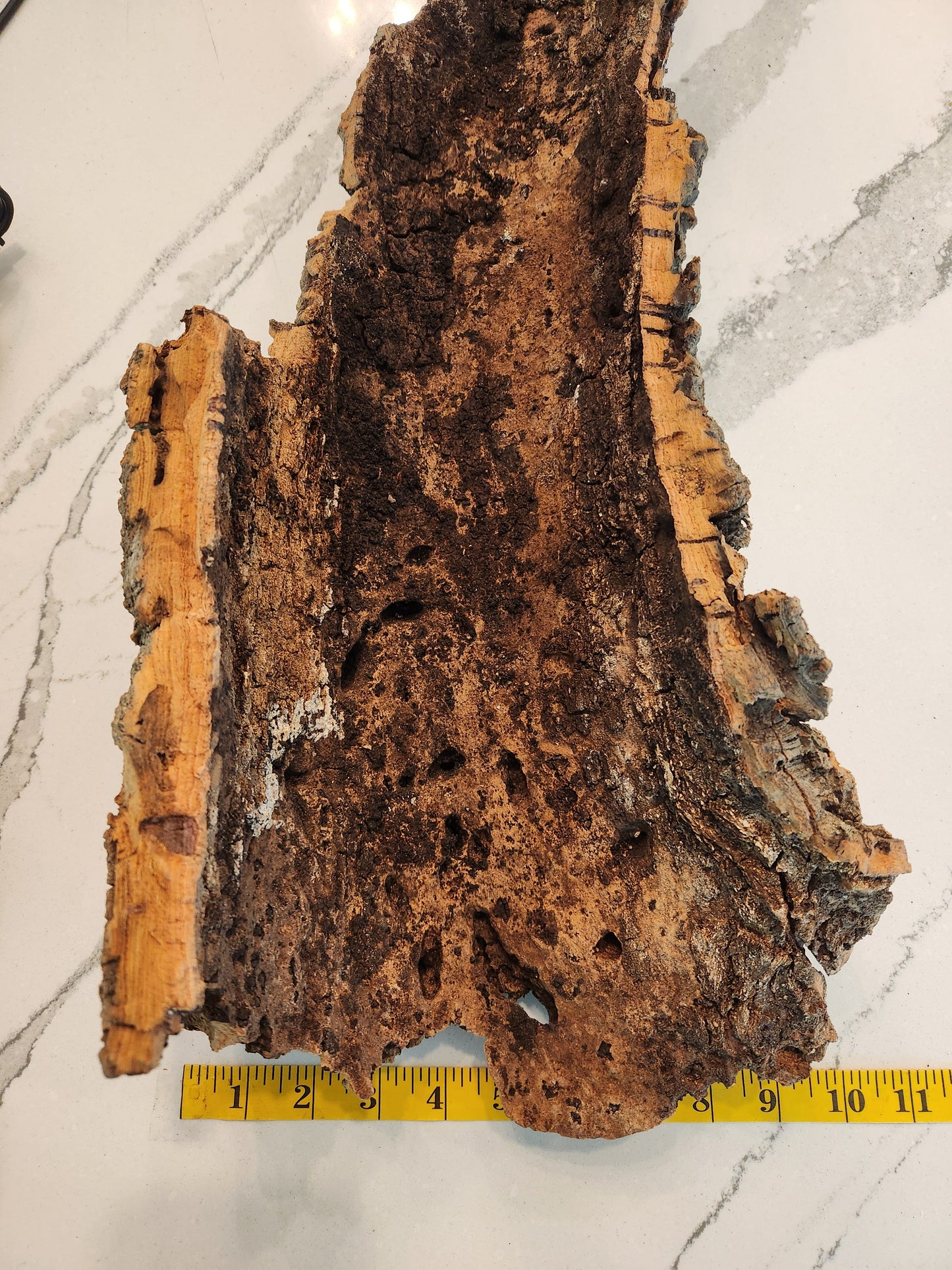 WYSIWYG Large Cork Bark #31
