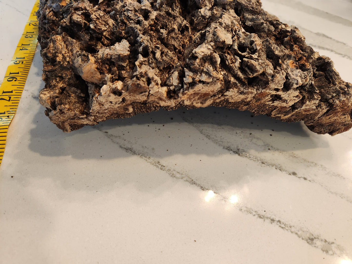 WYSIWYG Large Heavy Cork Bark #1