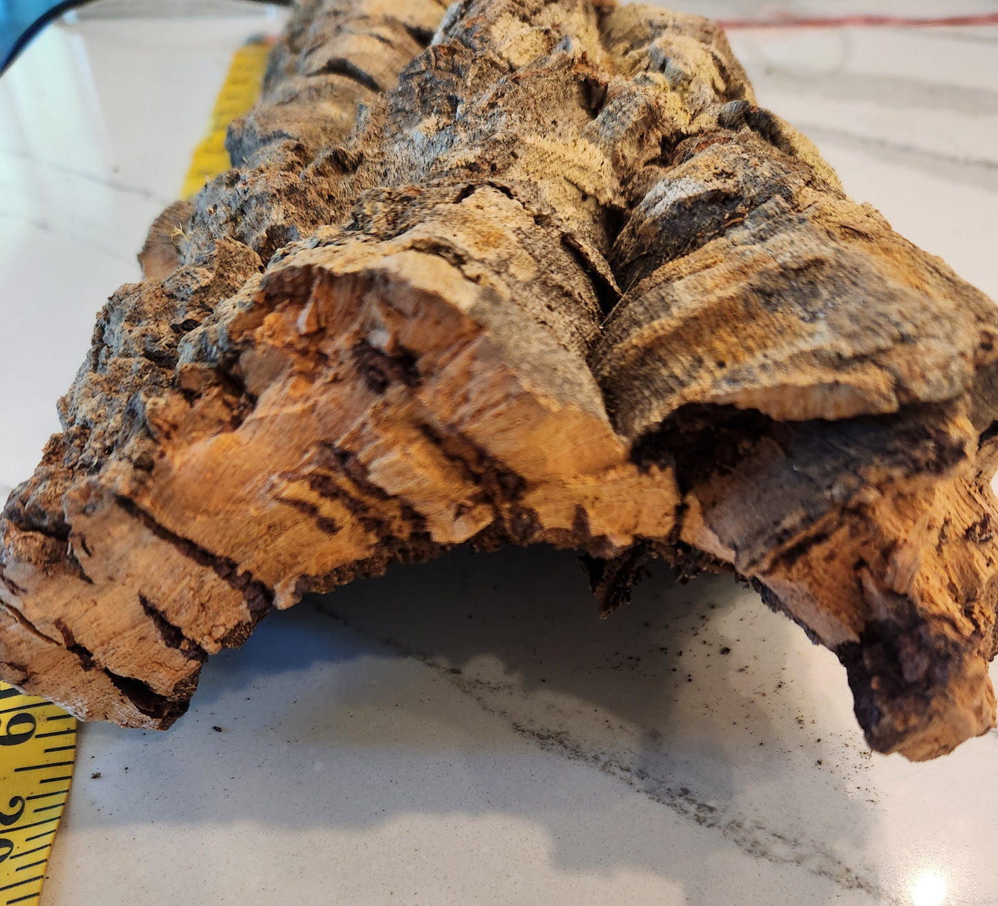 WYSIWYG Thick Medium Cork Bark #8