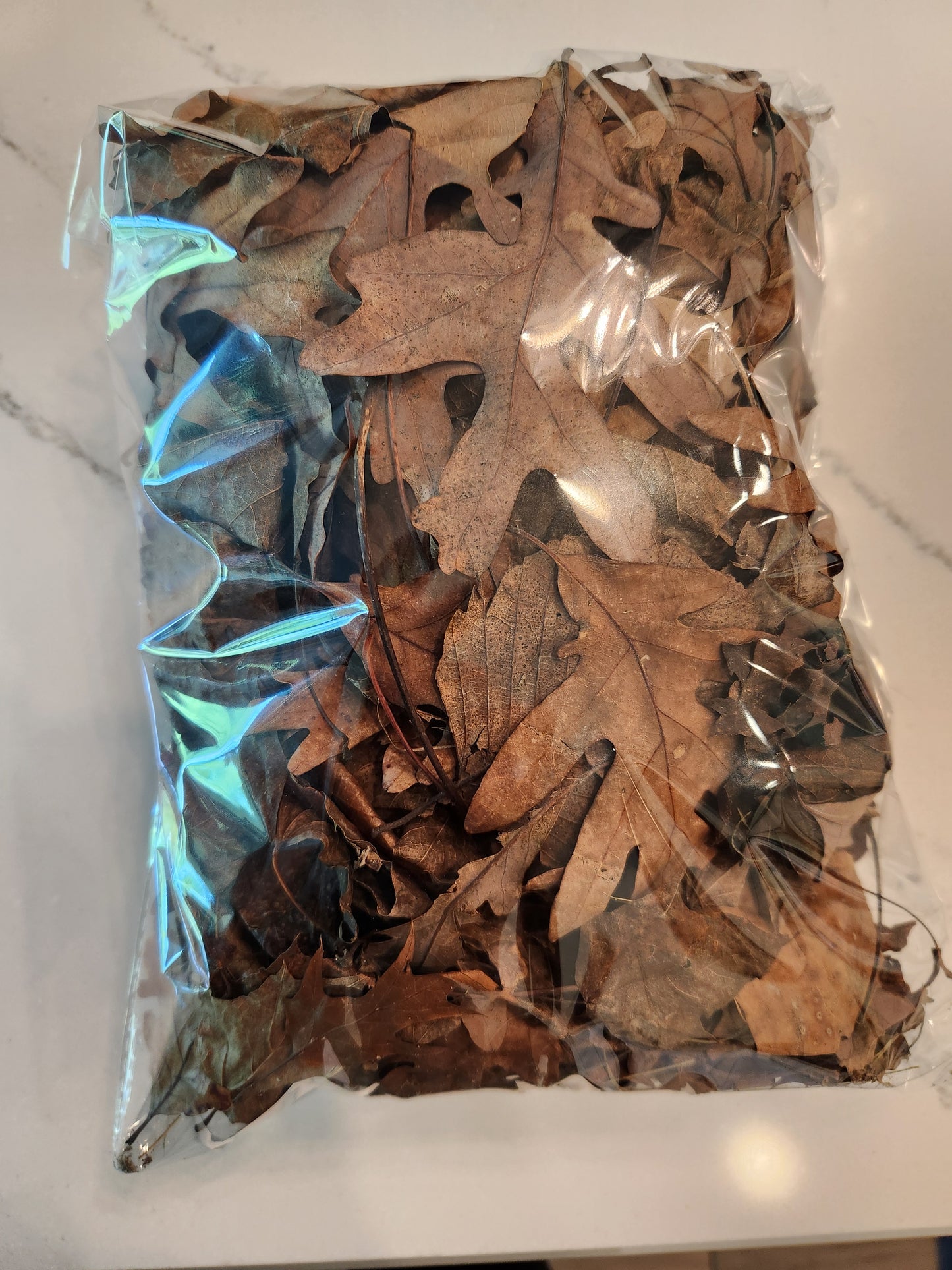 Mixed Leaf Litter/Leaves - 1 gallon