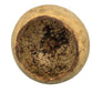 The I Heart Bugs Bell Cup Pod is a round, shallow, yellowish-brown ceramic bowl with a rough, speckled interior and uneven rim, evoking the look of Bael cups often used as natural aquarium decor. Its surface appears weathered and aged.
