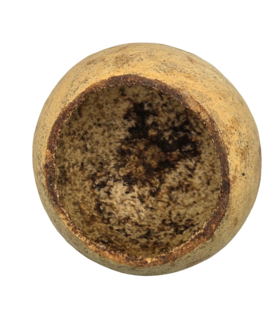 The I Heart Bugs Bell Cup Pod is a round, shallow, yellowish-brown ceramic bowl with a rough, speckled interior and uneven rim, evoking the look of Bael cups often used as natural aquarium decor. Its surface appears weathered and aged.