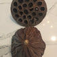 Two dried lotus seeds that are slightly damaged on a marble surface