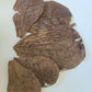 Six overlapping, dried, brownish Catappa Terminalia Indian Almond Leaves by I Heart Bugs, with visible wrinkles and texture—some showing areas of damage or missing pieces—are arranged randomly on a plain white background. The leaves vary in shape and size, creating an organic, natural pattern reminiscent of the mixed-sized foliage found in the 25-leaf pack used for blackwater aquarium setups to release beneficial tannins.