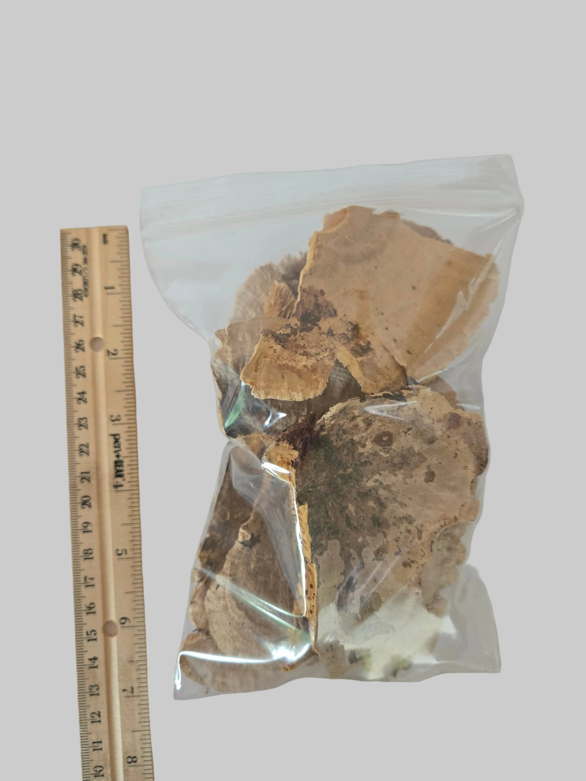 A clear plastic bag containing dried, irregularly shaped brown mushrooms, shown next to a wooden ruler for scale on a plain light background.