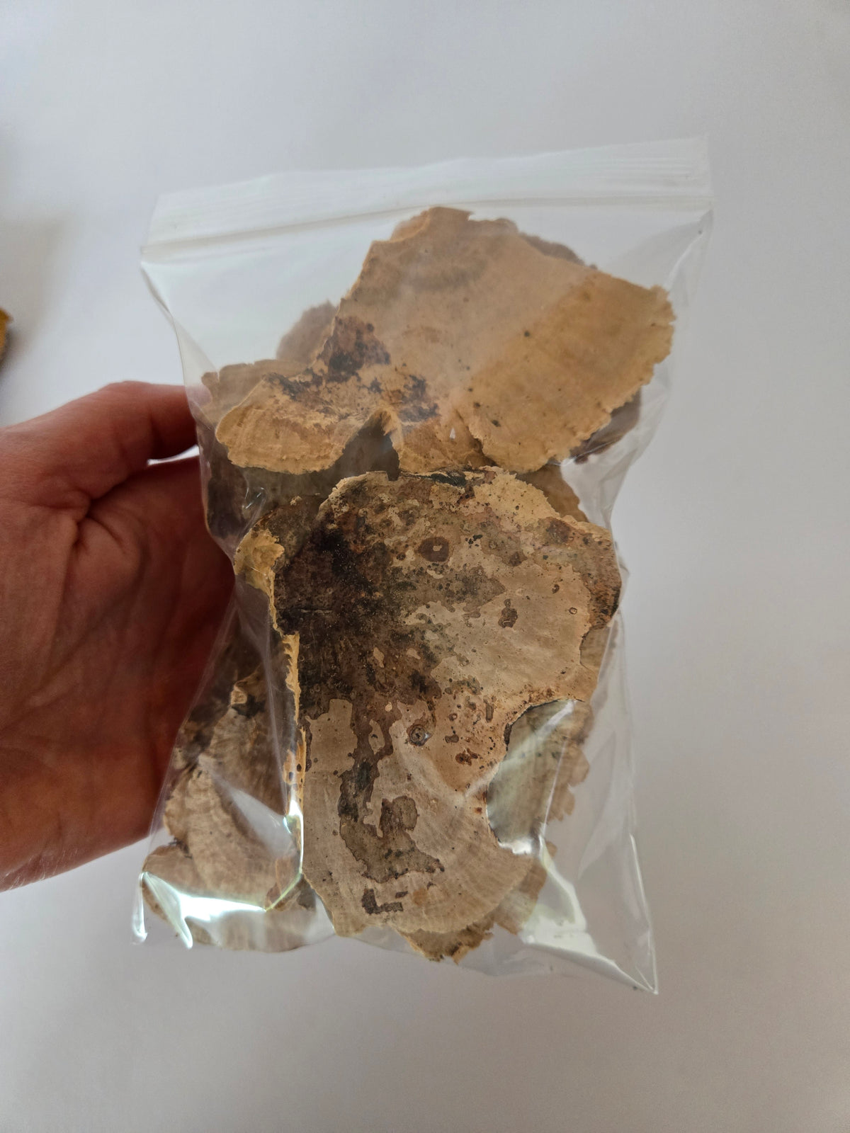 A clear plastic bag containing dried, irregularly shaped brown mushrooms