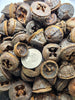 Five weathered, round Eucalyptus Pods by I Heart Bugs—shown next to a U.S. quarter for scale—feature earthy brown tones and openings, making them unique natural decor accents for aquariums.