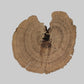 A mushroom cap with prominent concentric growth rings, displayed against a plain light gray background.
