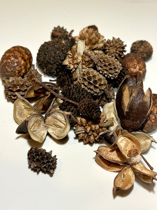 Mini/Nano Seed Pod Variety Pack - 35 Pieces