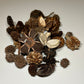 Mini/Nano Seed Pod Variety Pack - 35 Pieces