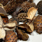 Mini/Nano Seed Pod Variety Pack - 35 Pieces