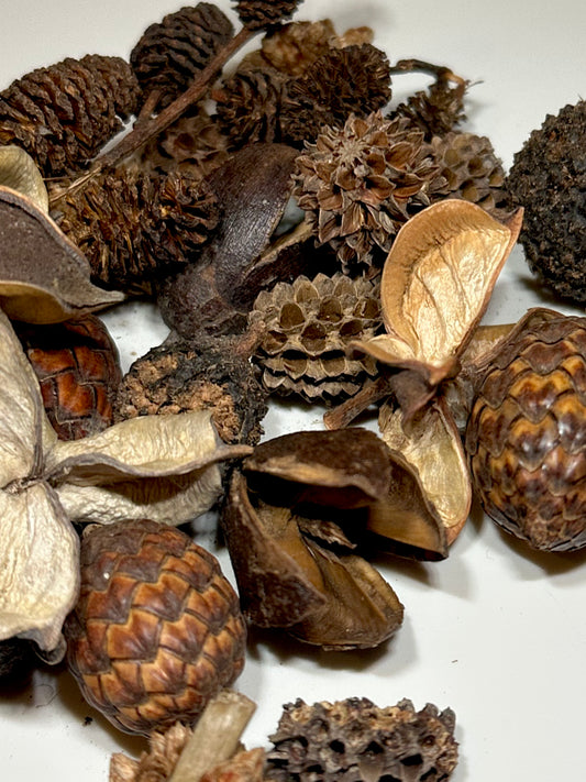Mini/Nano Seed Pod Variety Pack - 35 Pieces