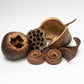 The I Heart Bugs Large Seed Pod Pack includes assorted dried seed pods and plant materials in various shapes and textures—perfect for naturalistic terrariums or as distinctive aquarium decor.
