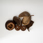 The Large Seed Pod Pack from I Heart Bugs features assorted dried seed pods and natural objects in various textures and shapes, perfect for creating naturalistic terrarium or aquarium decor. Displayed in a small cluster against a white background.