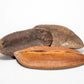 Antiquorum Triangle Seed Pods - 3 Count - IHEARTBUGS, INC.
