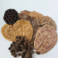 Aquarium Botanical Tannin Pack - Catappa Leaves, Casuarina Cones, Lotus Seed Pod - IHEARTBUGS, INC.